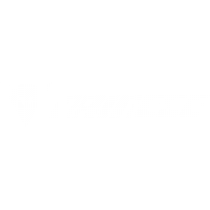 Dainese