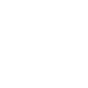 Everli