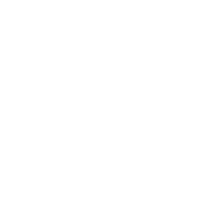 Sebach light logo - syncronika web agency
