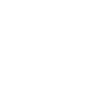faac logo - syncronika web agency