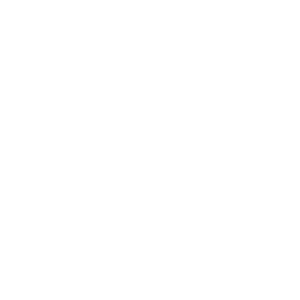 Armal logo 1 - syncronika web agency