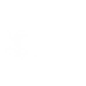 coopi logo - syncronika web agency