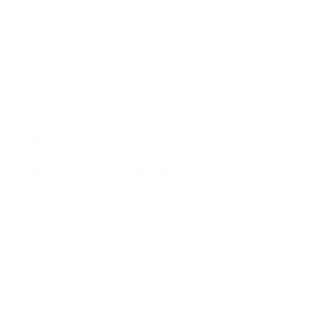 dainese logo - syncronika web agency